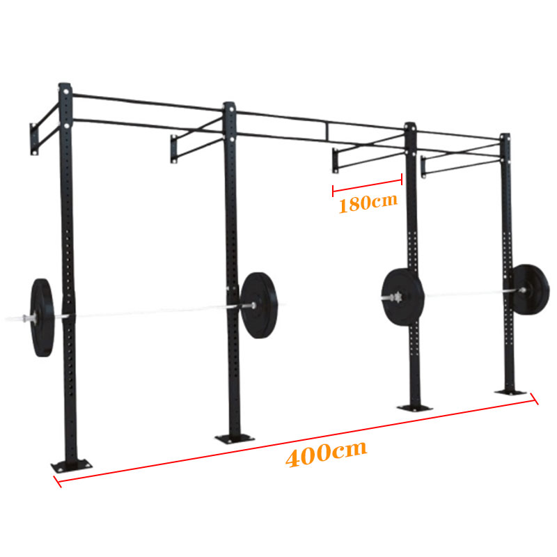 Wall Mount Rig Manufacturer Fitness Equipment