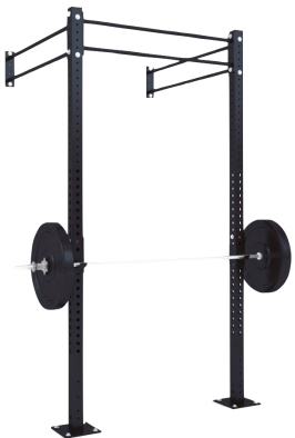 Gym Fitness Wall Mount Rig